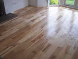 Solid Maple floor